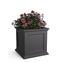 Fairfield 20in Square Planter - Graphite Grey - Durable Self Watering Resin Planter (5825-GRG)