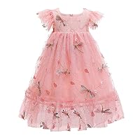 Summer New Girls' Flying Sleeve Princess Dress,Dragonfly Embroidered mesh Puffy Dress.