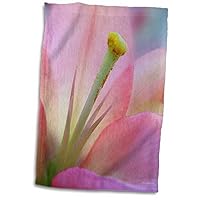 3dRose Doreen Erhardt Floral - Pink Lily - Towels (twl-15439-1)