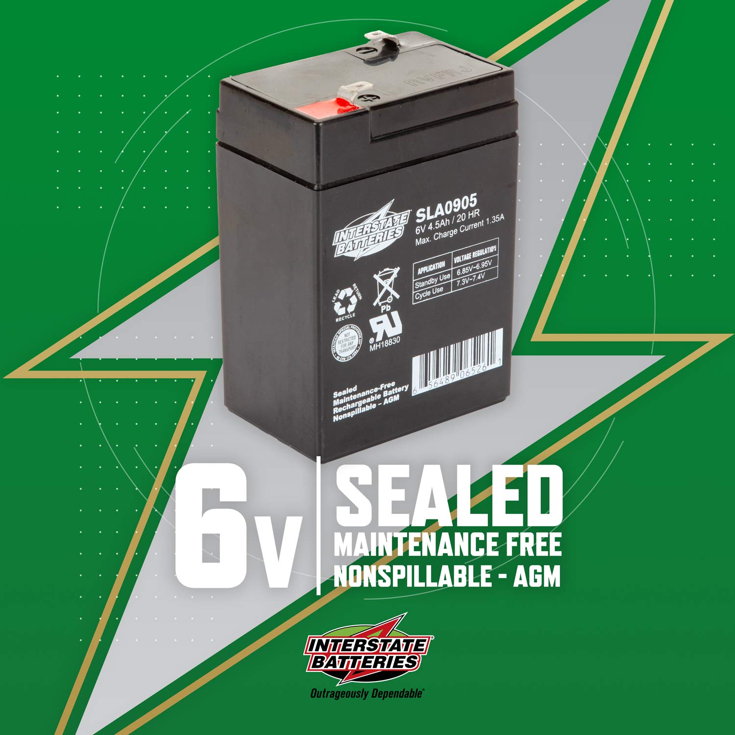 Interstate Batteries 6V 4.5Ah Rechargeable Battery (SLA0905) Sealed Lead Acid Rechargeable SLA AGM (F1 Terminal) Blood Pressure Monitor, Oxygen & Pulse Meter, Deer Feeder (Pack of 2)