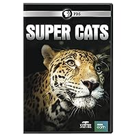 NATURE: Super Cats NATURE: Super Cats DVD Blu-ray