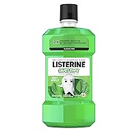 Pharmapacks Listerine Smart Rinse Kids Fluoride Anticavity Mouthwash, Mint Shield Flavor, 500 mL,16.9 Fl Oz (Pack of 1)