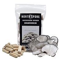 North Spore Organic Blue Oyster (100 ct) Mushroom Plugs for Logs | Premium Quality Mushroom Plug Spawn | Handmade in Maine, USA | Grow Gourmet Mushrooms Outdoors on Logs | Pleurotus ostreatus