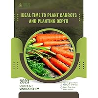 Ideal time to plant carrots and planting depth: Guide and overview