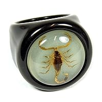 Golden Scorpion Black Ring Size 7
