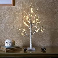 EAMBRITE Tabletop Birch Tree Home Decorations, White Birch Tree with Lights, 24 LED Lighted Mini Money Tree Twig Tree Battery Operated with Timer, Christmas Centerpiece, Indoor Decor (2FT/Warm White)