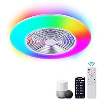 Silver 24 Inch Ceiling Fan with RGB Light and Remote