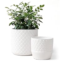 La Jolie Muse Ceramic Planter Set of 2 - 6.3 Inch Peacock Feather Pattern Embossed Flower Pot W/ Drain Hole for Indoor, White