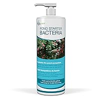 Aquascape 96015 Pond Starter Bacteria Water Treatment for Pond and Water Features, 32-Ounce