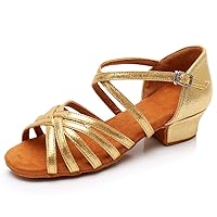 HIPPOSEUS Girls' Standard Latin Dance Shoes Low Heel 3.5CM,Model U1202