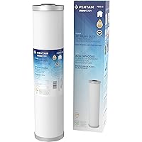Pentair OMNIFilter PB55-20 Carbon Water Filter, 20-Inch, Whole House Premium Heavy Duty Carbon Block Lead Reduction Replacement Cartridge, 20