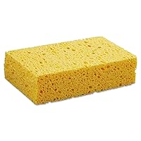 BWKCS2 - Boardwalk Medium Cellulose Sponge