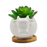 Succulent Pots,Cute 4.72 Inch Indoor Animal Cow Shaped Cartoon Ceramic Succulent Cactus Flower Pot with Bamboo Tray -Plant Not Included