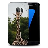 Cute African Giraffe Animal #11 Phone CASE Cover for Samsung Galaxy S7 Edge