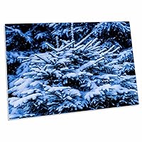 3dRose Snow Covered Young Spruce Tree. Blue Christmas - Desk Pad Place Mats (dpd-264097-1)