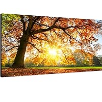 Canvas Wall Art for Living Room Bedroom Autumn Oak Tree Tree Sunset Sunlight Big Large Wall Art Decor Framed Painting Wall Pictures Prints Artwork Office