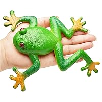 Jenaai 24 Pack Mini Frog Toy Rubber Frogs Green Realistic Toy Frogs Tiny  Frogs Rainforest Animals Figures for Frog Party Favors, Early Education