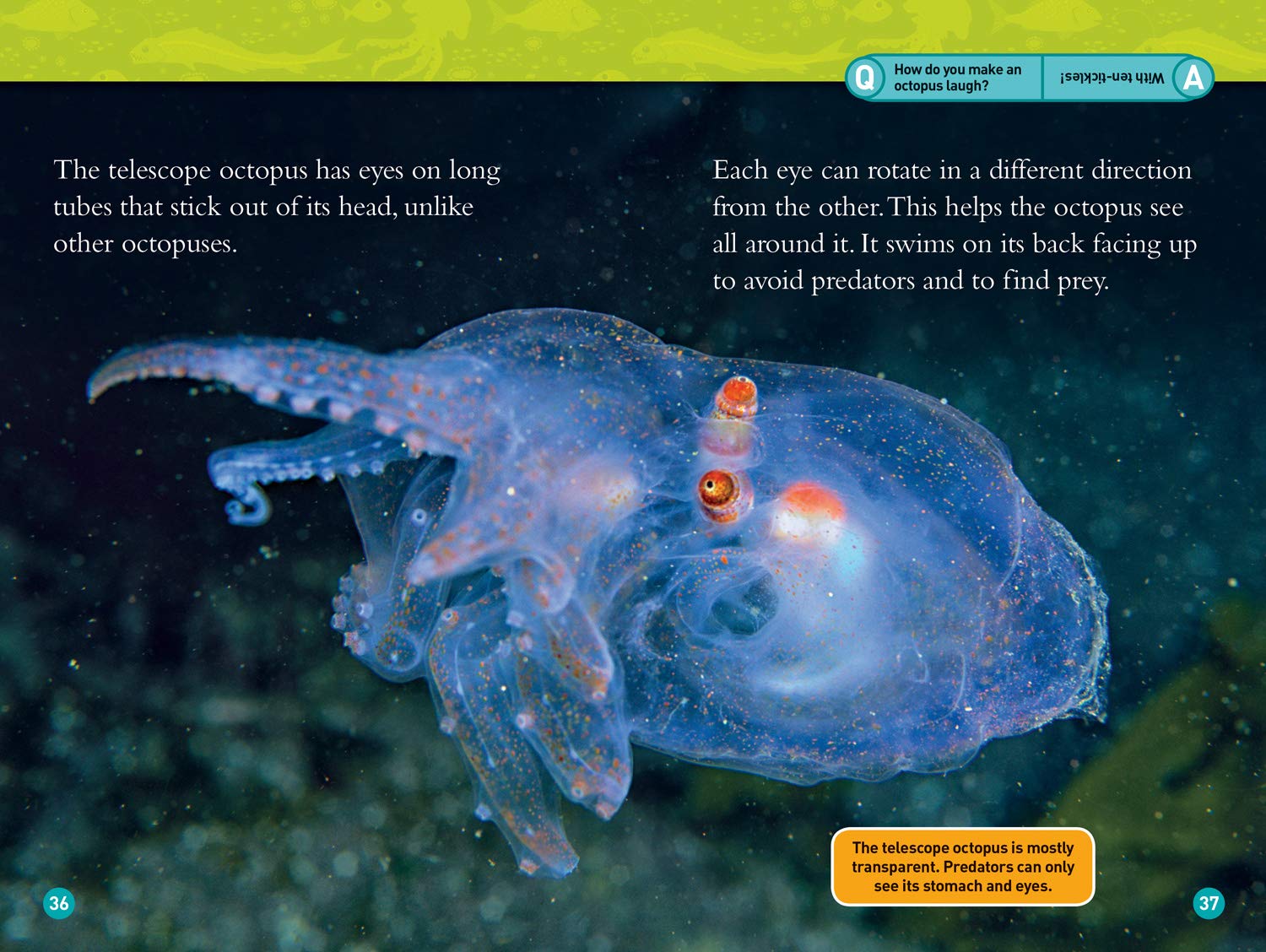National Geographic Readers: Alien Ocean Animals (L3)