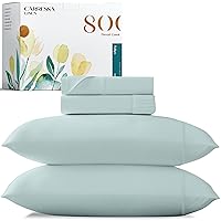 Carressa Linen 100% Egyptian Cotton Sheets Queen Size - 800 Thread Count 4 PC Cotton Sheets for Queen Size Bed, Extra Long Staple Cooling Sheets, Luxury Hotel Sheets, 16 In Deep Pocket - Seafoam Green