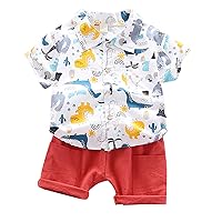 Jacket Baby Boy Baby Set Clothes Summer Tops+Shorts Outfits Infant T-Shirt 14Years Boys Cartoon Boys Kid (White, 80=S)