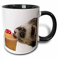 3dRose Ferret Eating Cupcake-Two Tone Black Mug, 11 oz, Multicolored