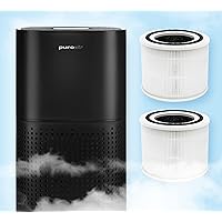 Cleaner Air Package: HEPA 14 Purifier With An Extra Filter