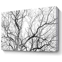 STRRAW Bedroom Posters Aesthetic,Tree Branches Print Black And White Printable Tree Art For Bedroom Office Modern Wall Decor Canvas Art Wall Decor Paintings~16