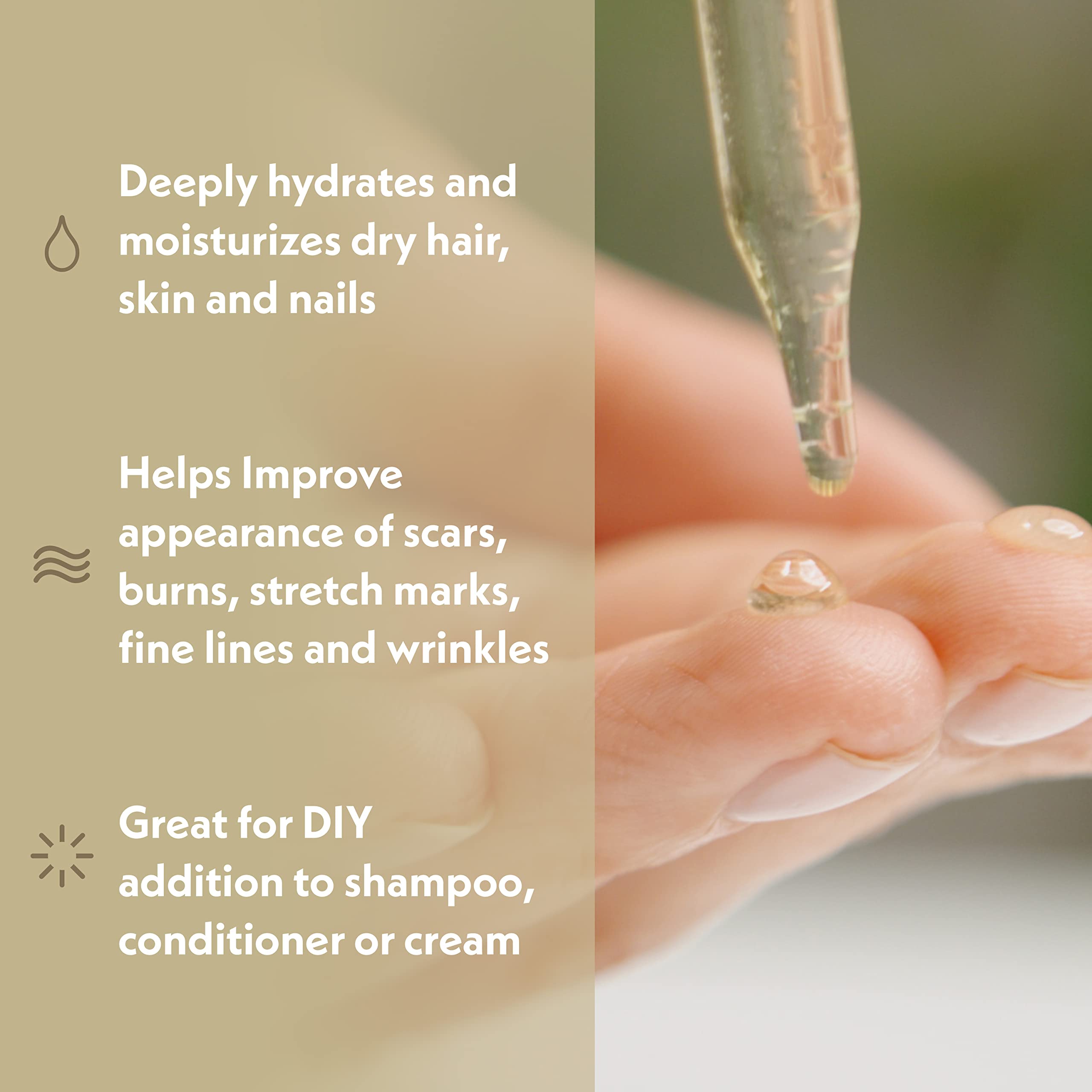 Eve Hansen Organic Argan Oil (4oz) | Pure Argan Oil for Hair, Skin and Nails | Carrier Oil, Face Moisturizer, Body Oil, Dry Scalp Treatment and Hair Oil for Dry Hair and Damage
