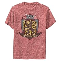 Harry Potter Kids' Gryffindor Quidditch T-Shirt