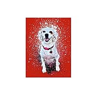 Custom Background Backdrop,Custom Tapestry Upload Images,Personalized Wedding Fabric Backdrop,Pet Dog Tapestry,Make Your Own Christmas Family Photo Collage Backdrop (150x100cm)