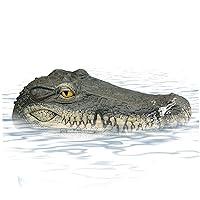 Alligator Pool Float, Pond Floating Alligator Outdoor Pools Duck Deterrents Float Fake Gator Crocodile for Koi Pools Decor, Alligator