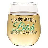 Funny Wine Glass for Women Men | Wine Gifts for Women | Cute Stemless Wine Glass | Funny Christmas Birthday Drinking Glasses for Best Friend BFF | Unique Inappropriate Adult Humor Gift for Wine Lovers