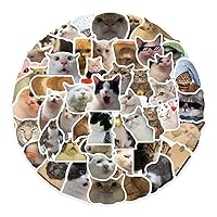 50pcs/Pack Cute Animal Cats Stickers Colorful Waterproof Stickers No PVC Stickers for Phone for Boys Girls Cute Cats Animal Stickers Bulk for Water Bottles Waterproof Stickers 50 Pack for Kids