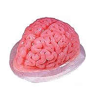 Plastic Brain Jello Mold