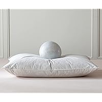 Luxury Goose Feathers Down Pillow for Sleeping,Hotel Collection King Size Soft Bed Pillow,Organic Percale Cover(King,Pack of 1)