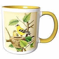 3dRose Vintage Bird Art Print American Goldfinch Beautiful Yellow Birds Nest - Mugs (mug-364680-8)