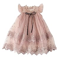 Girls' Fashionable Princess Dress Korean Edition Children's Dress Embroidered Mesh Fluffy Skirt Suitable for