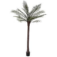 Robellini Palm Artificial Tree - 78-inch Potted Faux Plant for Office or Home Decor - Realistic Greenery for Indoor or Outdoor Use by Pure Garden