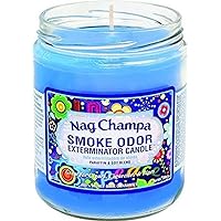 Smoke Odor Exterminator 13 Oz Nag Champa Jar Candle, 13 Ounce