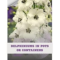 Delphiniums in Pots or Containers: Become flowers expert Delphiniums in Pots or Containers: Become flowers expert Kindle Paperback