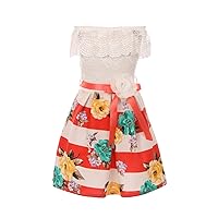Lace Ruffle Neck & Off Shoulder Top Striped Flower Print Dress for Girl
