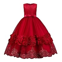 Flower Girls Princess Floral Boho Lace Embroidered Star Pageant Dresses for Kids Baby Party Wedding Puffy Communion Maxi Gown