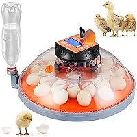 VEVOR 24 Egg Incubator, Incubators for Hatching Eggs, 360° Automatic Egg Turner with Temperature and Humidity Display, 24 Eggs Poultry Hatcher with ABS Transparent Shell for Chicken, Duck, Quail