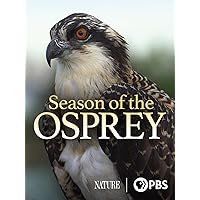 Season of the Osprey