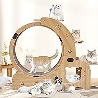 5-in-1 Cat Exercise Wheel for Indoor Cats, 43