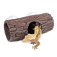 Mua crested gecko hàng hiệu chính hãng từ Mỹ giá tốt. Tháng 3/2024