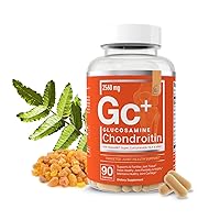 Glucosamine Chondroitin MSM Boswellia Serrata Hyaluronic Acid Supplement Joint Support Antioxidant Supplement for Flexibility - 90 Capsules