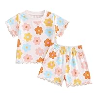 Toddler Baby Girl Clothes Floral Print Summer Outfit Short Sleeve T Shirt Tops and Elastic Waist Shorts Set
