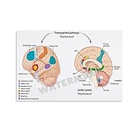 LTTACDS Poster The Otolaryngology Room of The Hospital Clinic Canvas Painting Posters And Prints Wall Art Pictures for Living Room Bedroom Decor 30x20inch(75x50cm) Unframe-style