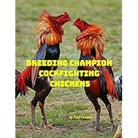 Breeding Champion Cockfighting Chickens: Old English Gamefowl